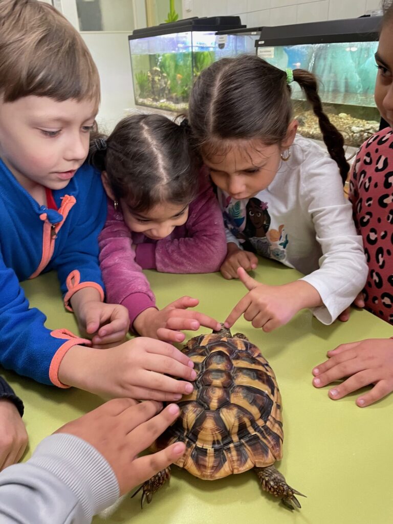 Malá ZOO v Sokolově