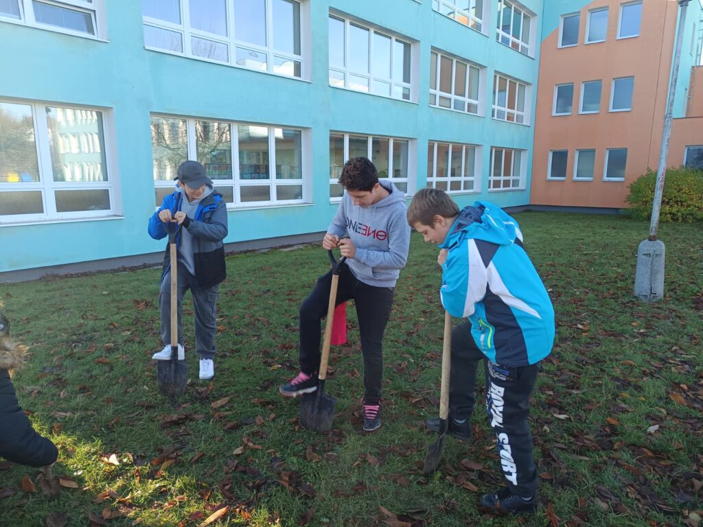 Pěstitelské práce v 6. a 7. ročníku